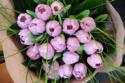 tulipani per Ilaria