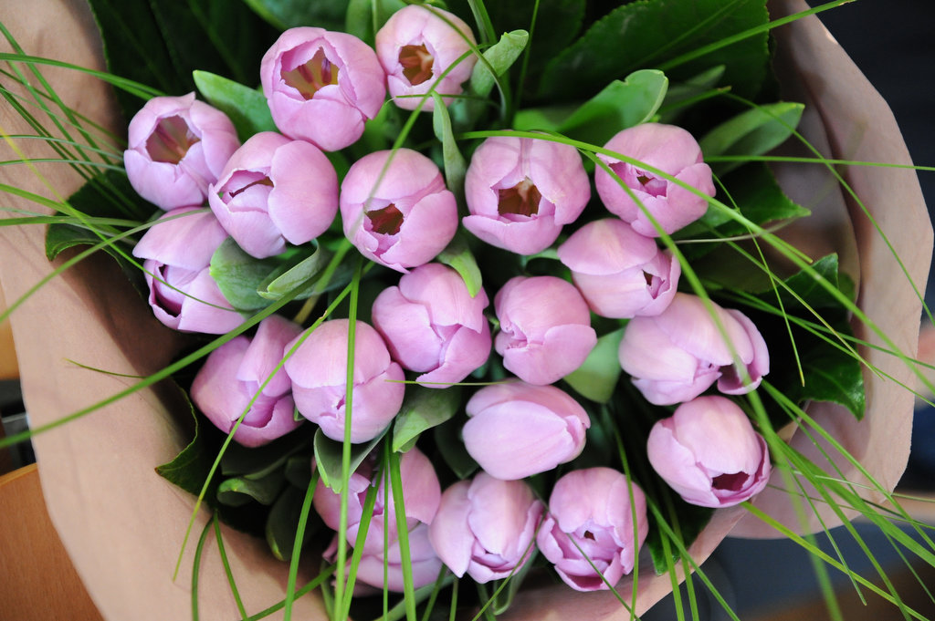 tulipani per Ilaria